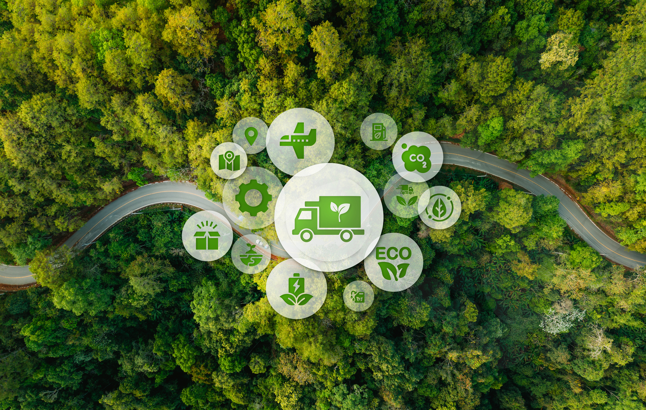 ESG Strategies: Sustainable Supply Chain and Circular Economy