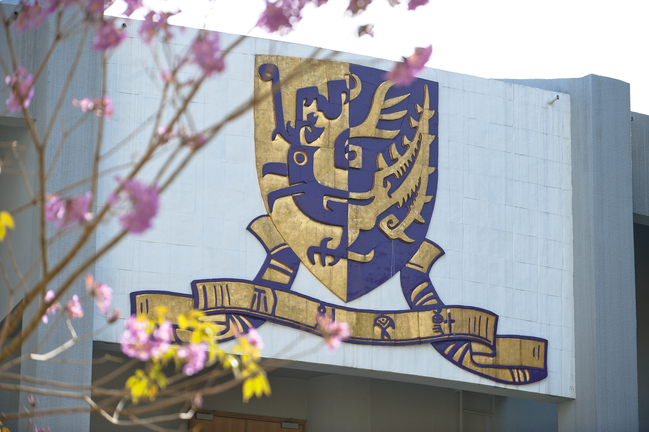 CUHK Chinese University of Hong Kong